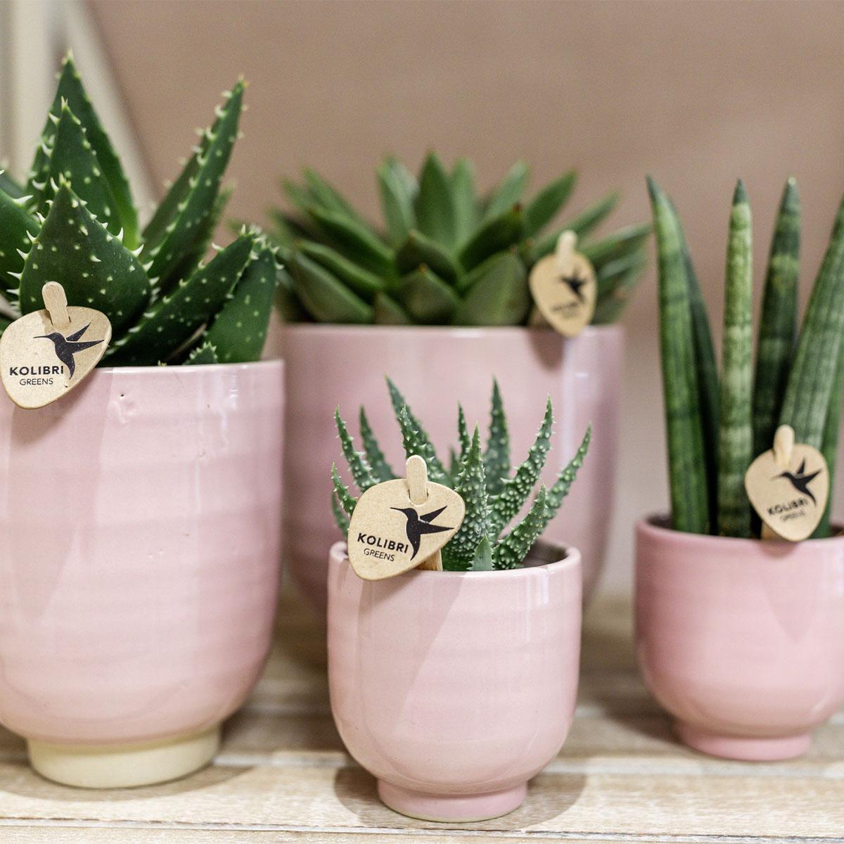 Kolibri Home | Glazed bloempot - Roze keramieken sierpot met glans  - potmaat Ø9cm