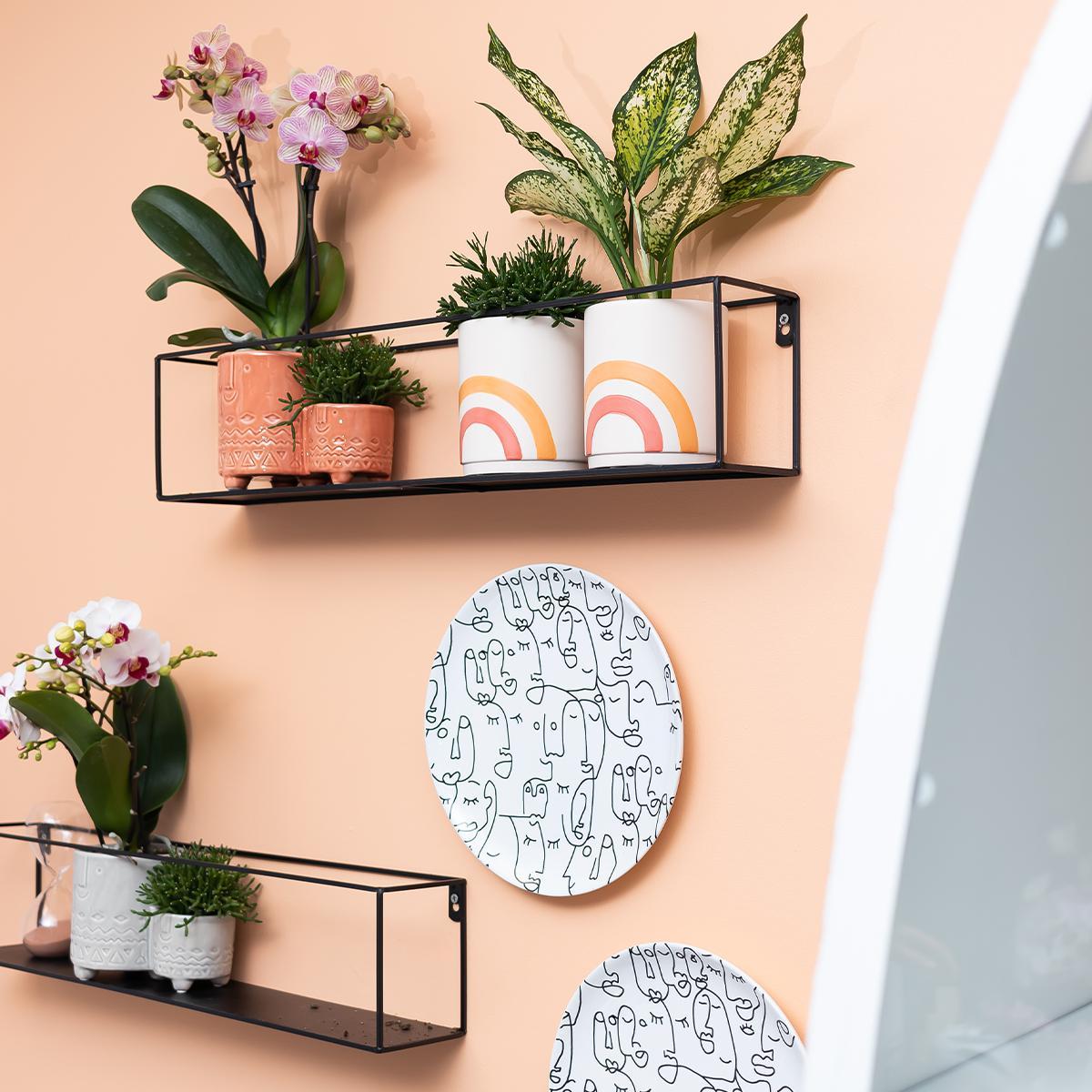 Kolibri Home | Rainbow peach bloempot - Crème keramieken sierpot met print - potmaat Ø9cm