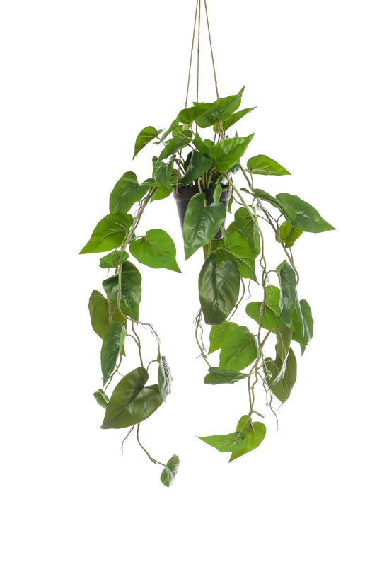 Kunstplant - Philodendron scandens - Klimmende Boomliefhebber - 80 cm