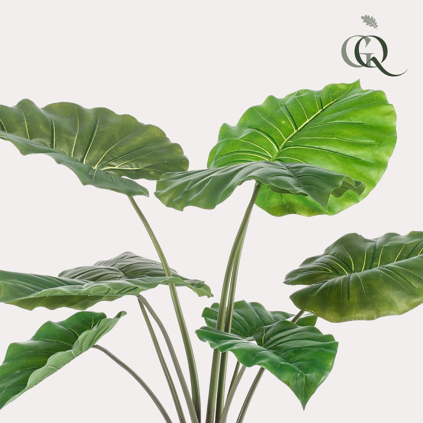 Kunstplant - Alocasia - Olifantsoor - 70 cm