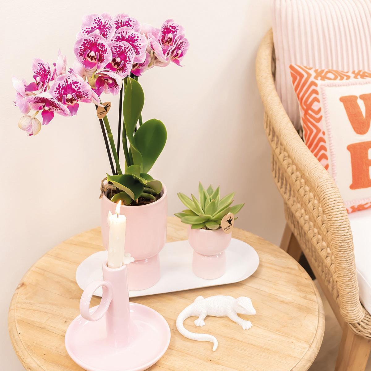 Kolibri Home | Trophy bloempot - Roze keramieken sierpot - potmaat Ø6cm