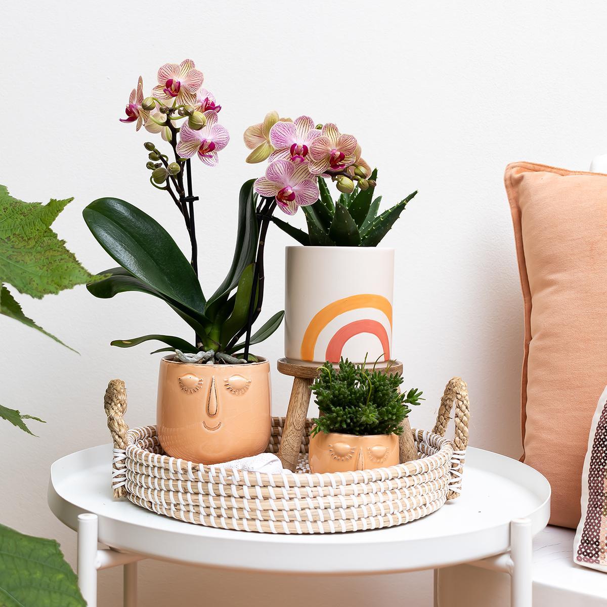 Kolibri Home | Rainbow peach bloempot - Crème keramieken sierpot met print - potmaat Ø9cm