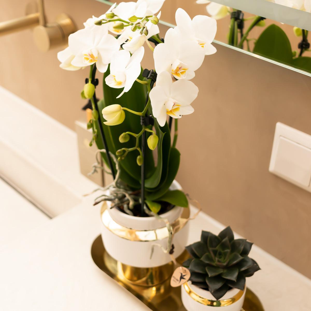 Kolibri Home | Le Chic bloempot - Witte keramieken sierpot met gouden details - potmaat Ø6cm