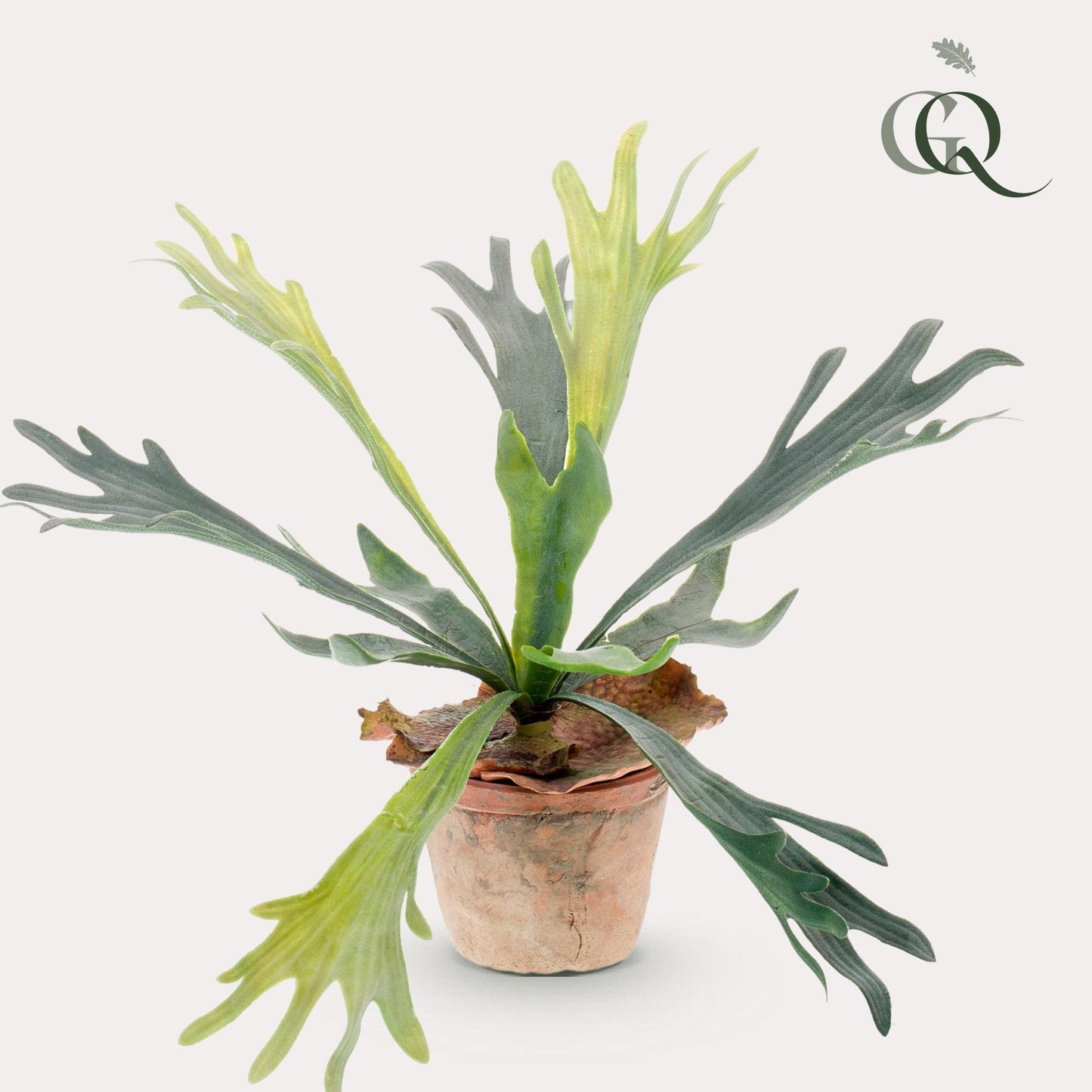 Kunstplant - Staghorn Fern - Hertshoorn - 33 cm