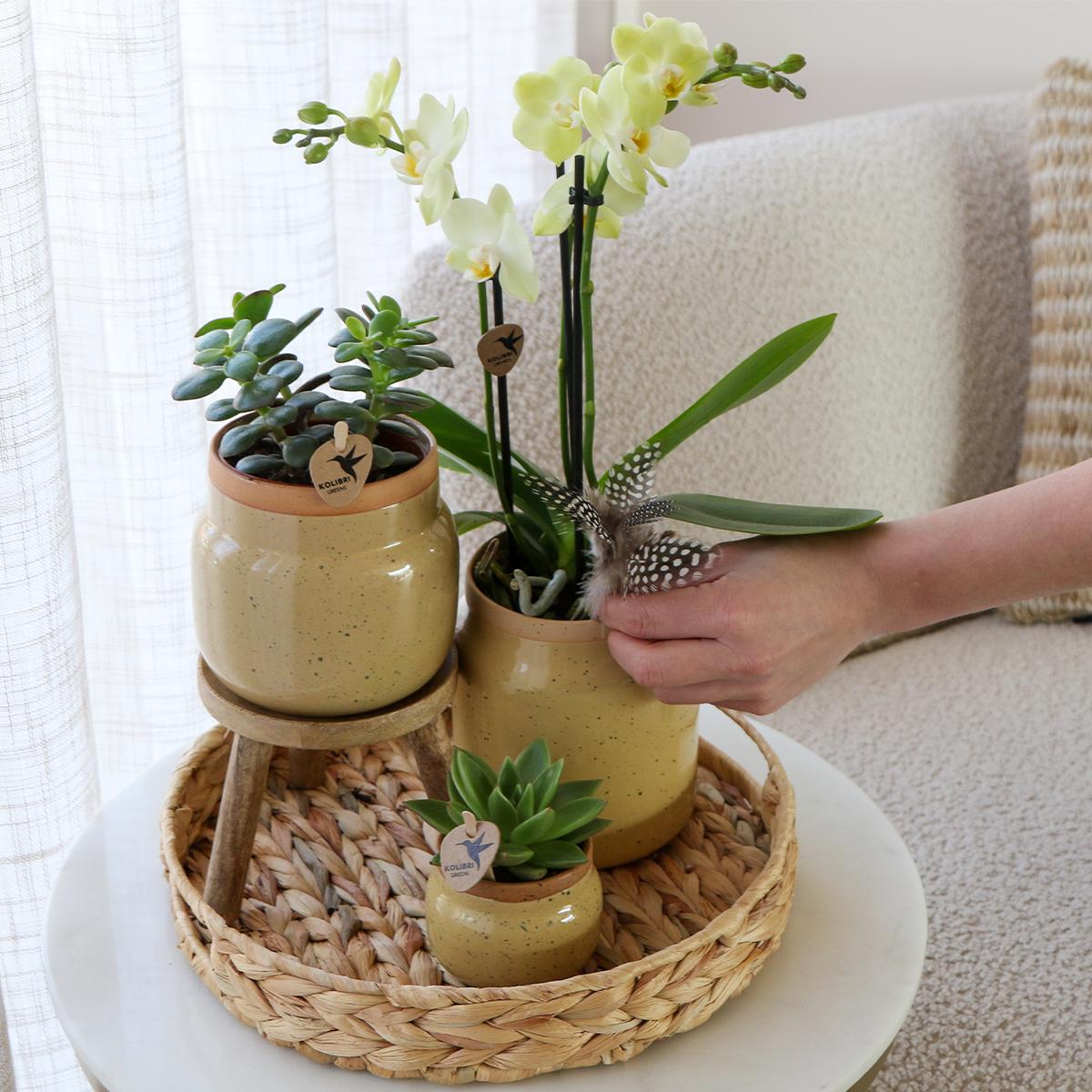 Kolibri Home | Vintage bowl bloempot - khaki keramieken sierpot Ø9cm