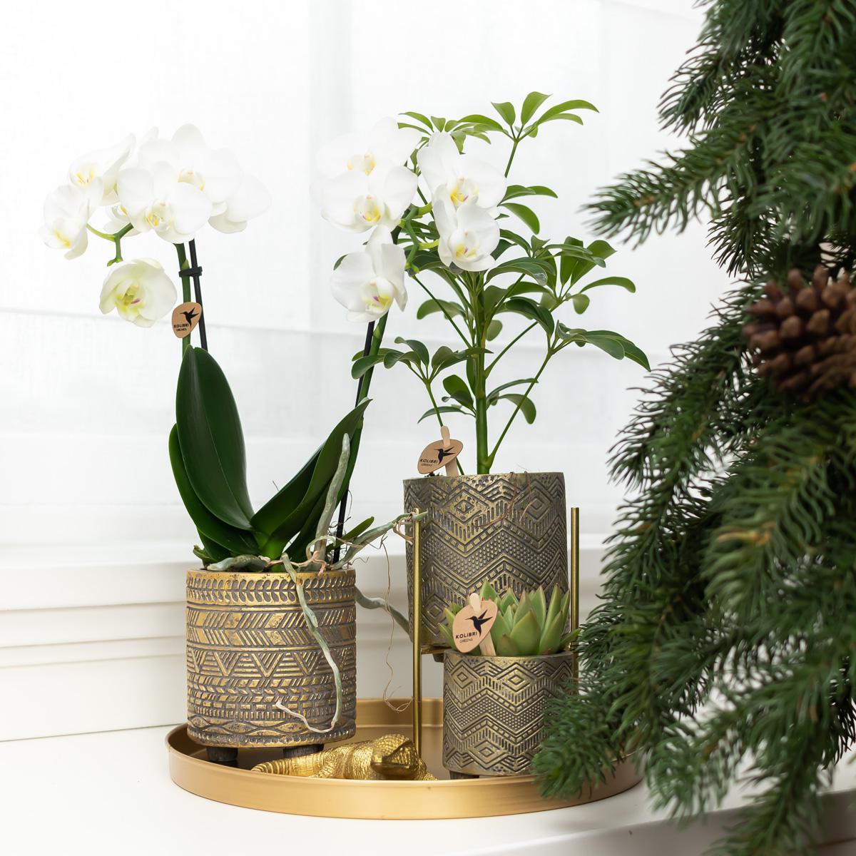 Kolibri Home | Plantenstandaard - Gouden metalen planten verhoging Ø12cm