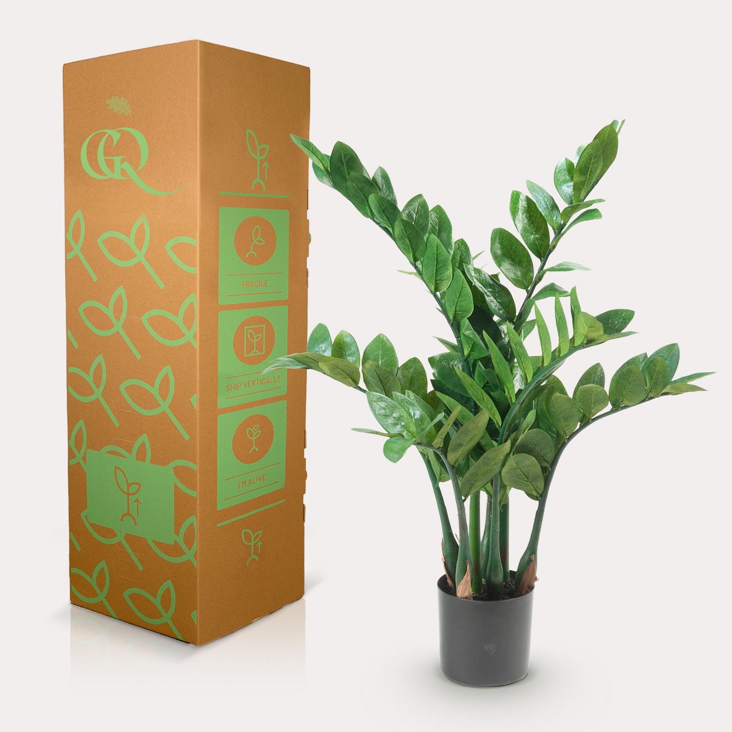 Kunstplant - Zamioculcas - Kamerpalm - 70 cm