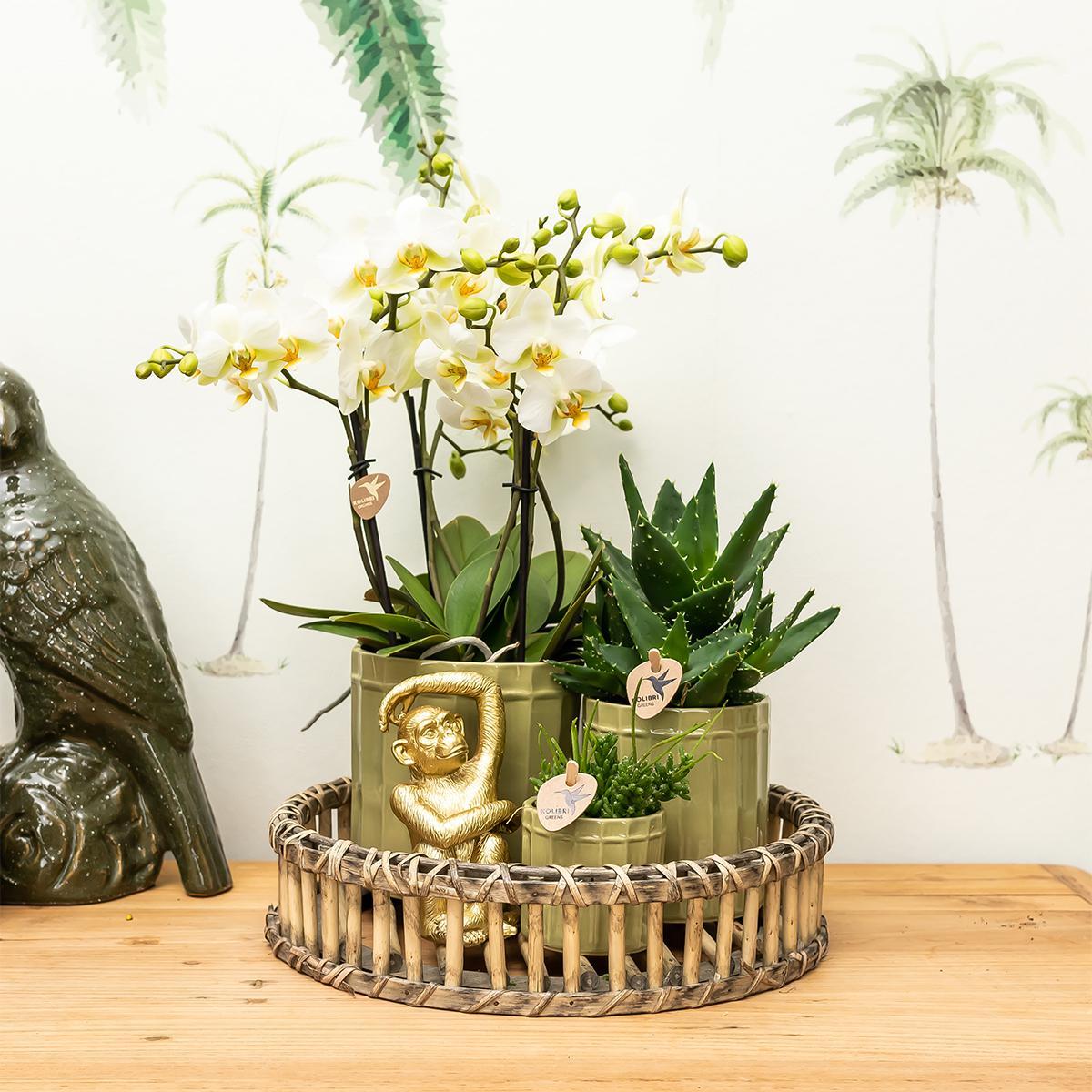 Kolibri Home | Ornament - Decoratie beeld Sitting Monkey goud