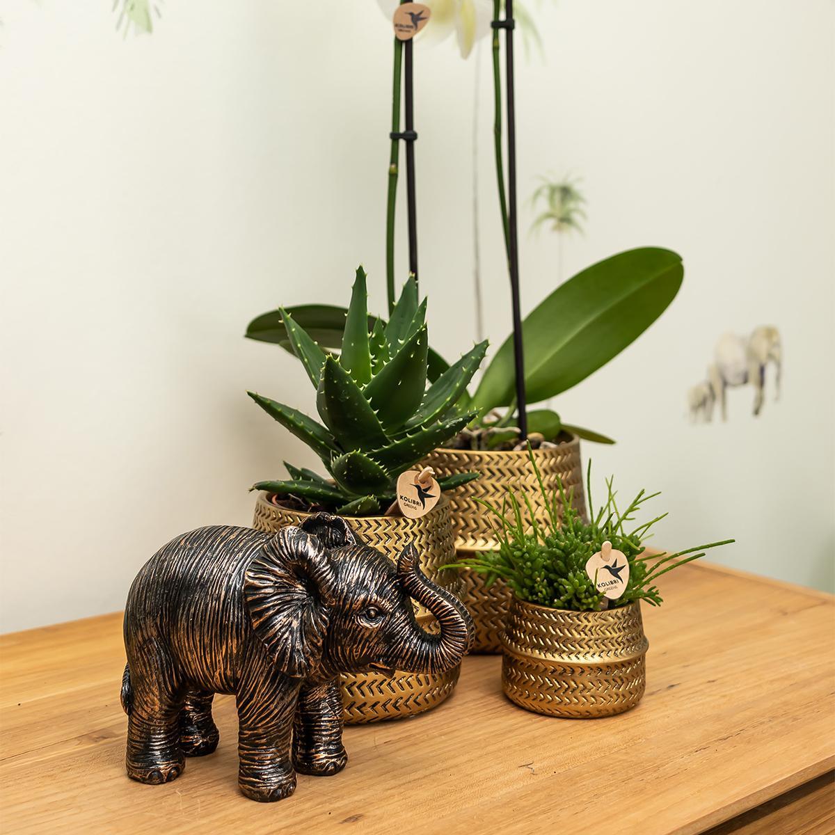 Kolibri Home | Ornament - Decoratie beeld Elephant zwart