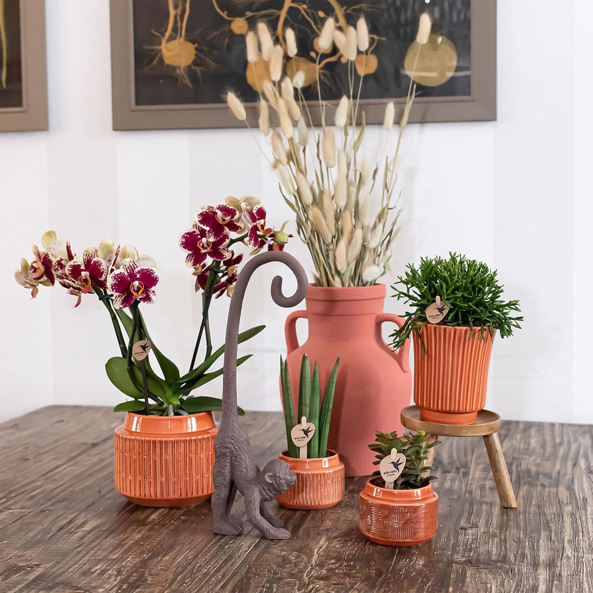 Kolibri Home | Retro terracotta bloempot - terracotta kleurige keramieken sierpot Ø9cm