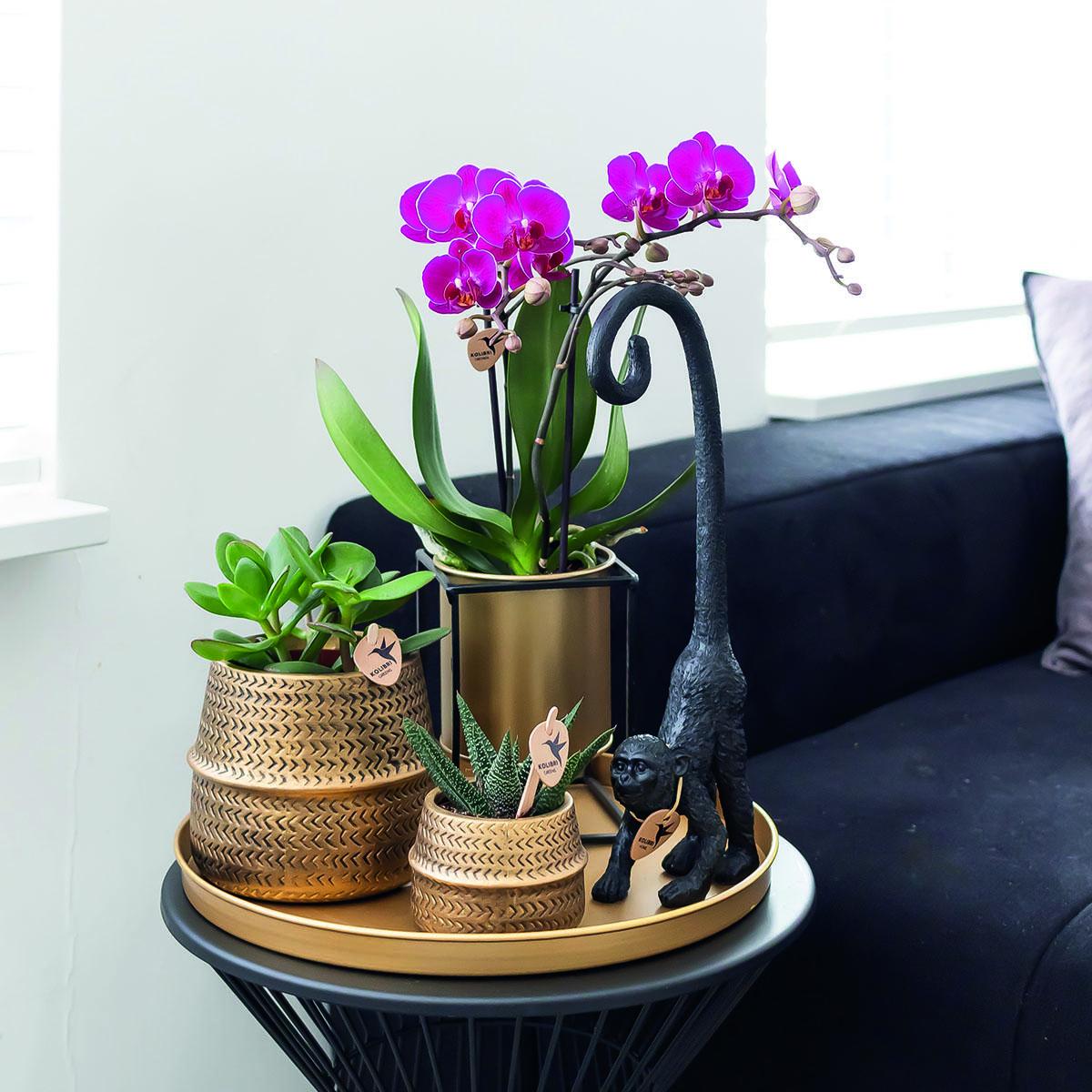 Kolibri Home | Floating bloempot - Gouden zinken sierpot Ø9cm