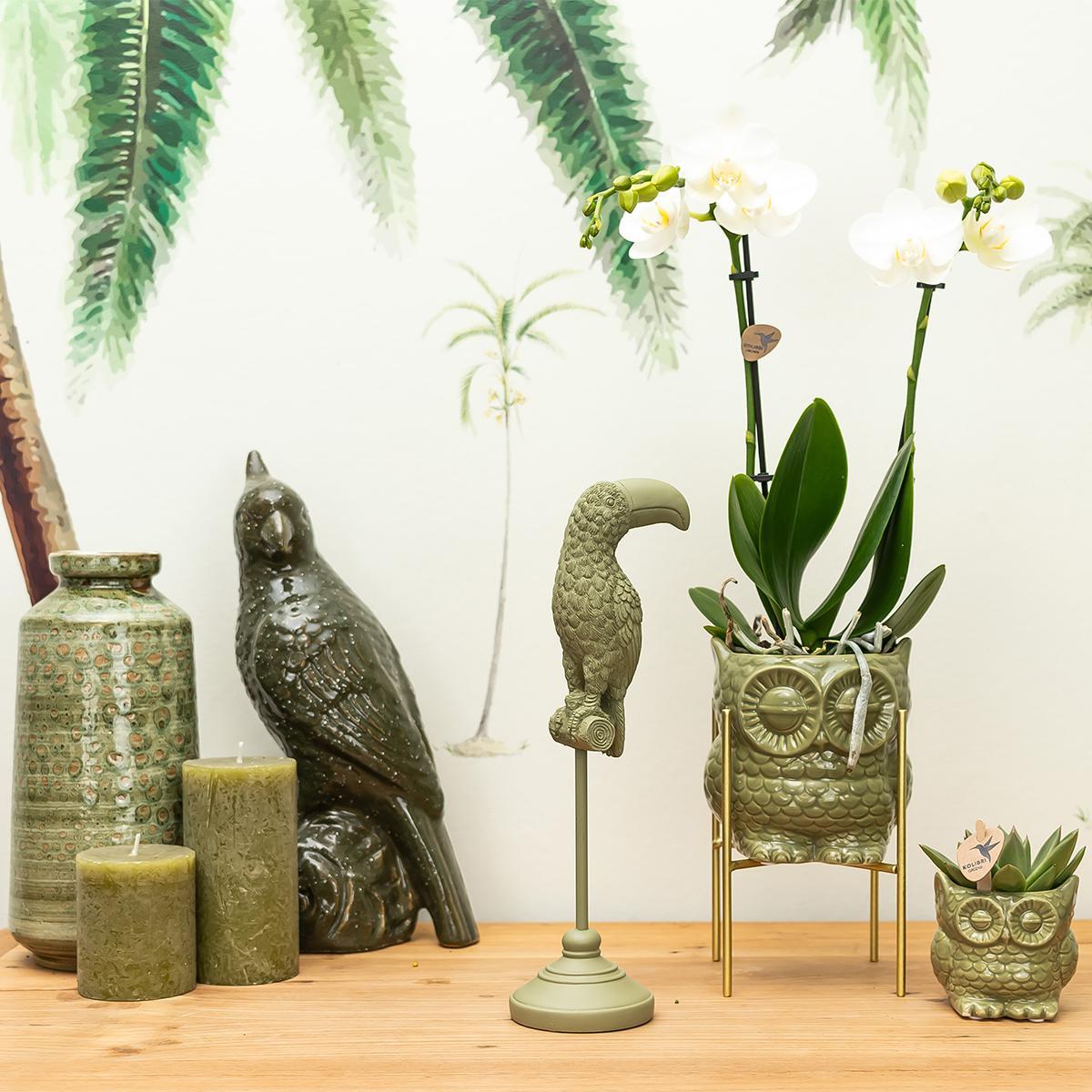 Kolibri Home | Ornament - Decoratie beeld Toucan groen