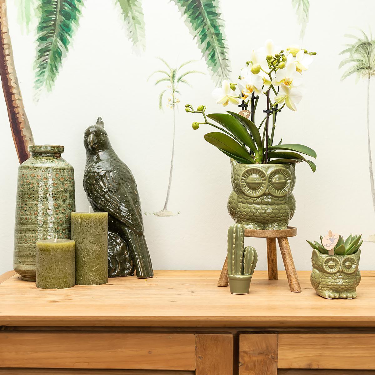 Kolibri Home | Owl bloempot - Groene keramieken sierpot Ø9cm