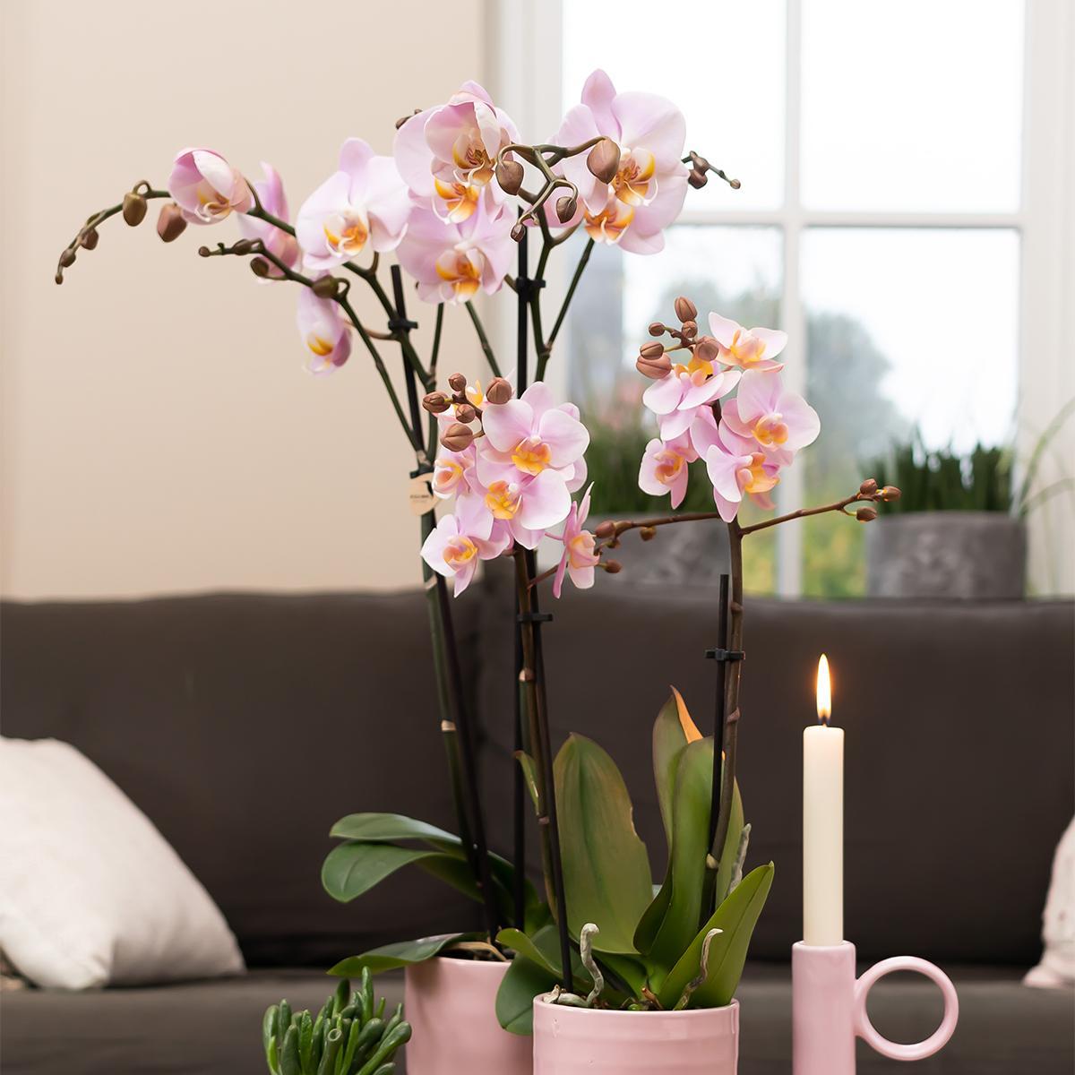 Kolibri Home | Glazed bloempot - Roze keramieken sierpot met glans  - potmaat Ø9cm