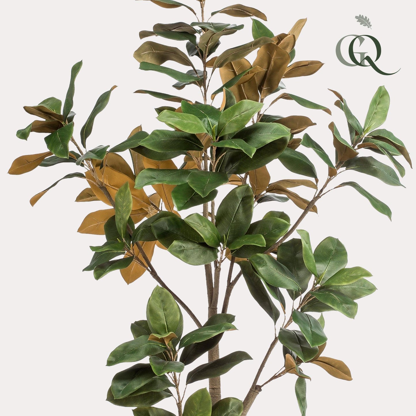 Kunstplant - Magnolia Grandiflora - Abelia - 180 cm