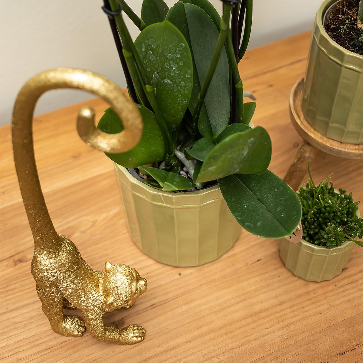 Kolibri Home | Ornament - Gouden Monkey long tail decoratie beeld